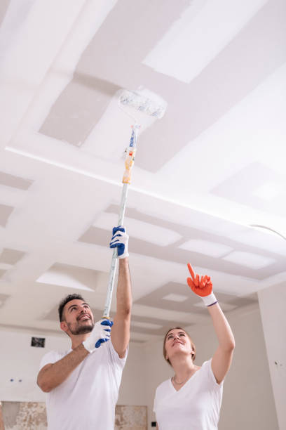 Best Dehumidification Services  in Upper Sandusky, OH