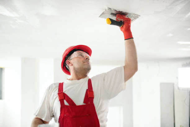 Best Mold Damage Restoration  in Upper Sandusky, OH