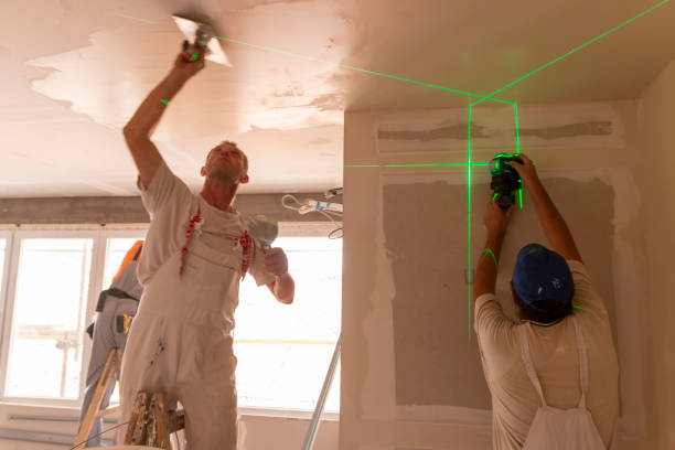 Best Attic Mold Removal  in Upper Sandusky, OH