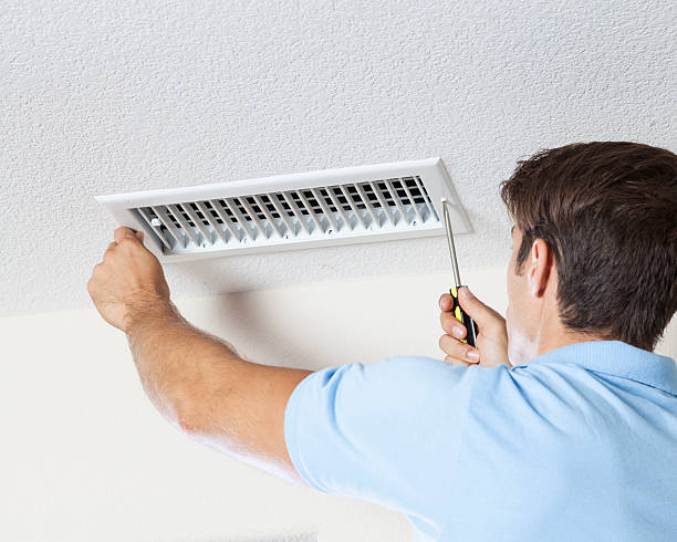 Best Mold-Related Health Consultation  in Upper Sandusky, OH
