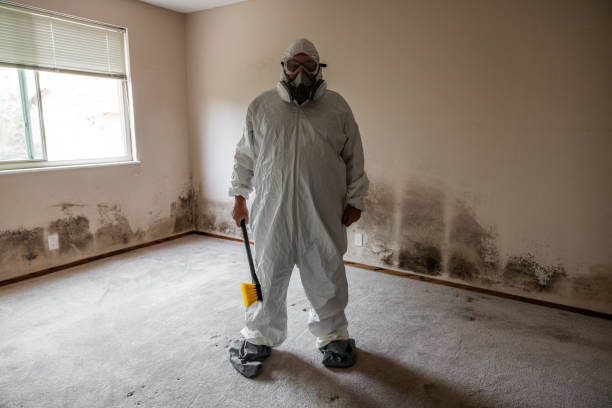 Best Biohazard Mold Removal  in Upper Sandusky, OH